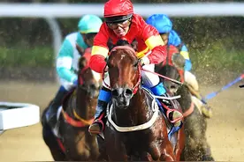 金牌骑师阿力泰，见证武汉赛马20年图片