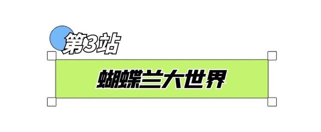 “宝藏小城”藏不住！宿城这些地方被全省推介