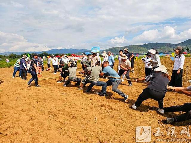 文化中国行｜第四届海浒“108”丰收文化节开幕