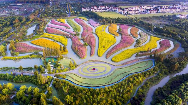 金山朱泾：一路向新 “泾”彩绽放