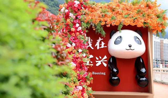 【地方荣誉】雅安两县上榜！2025中国最美县域榜单出炉