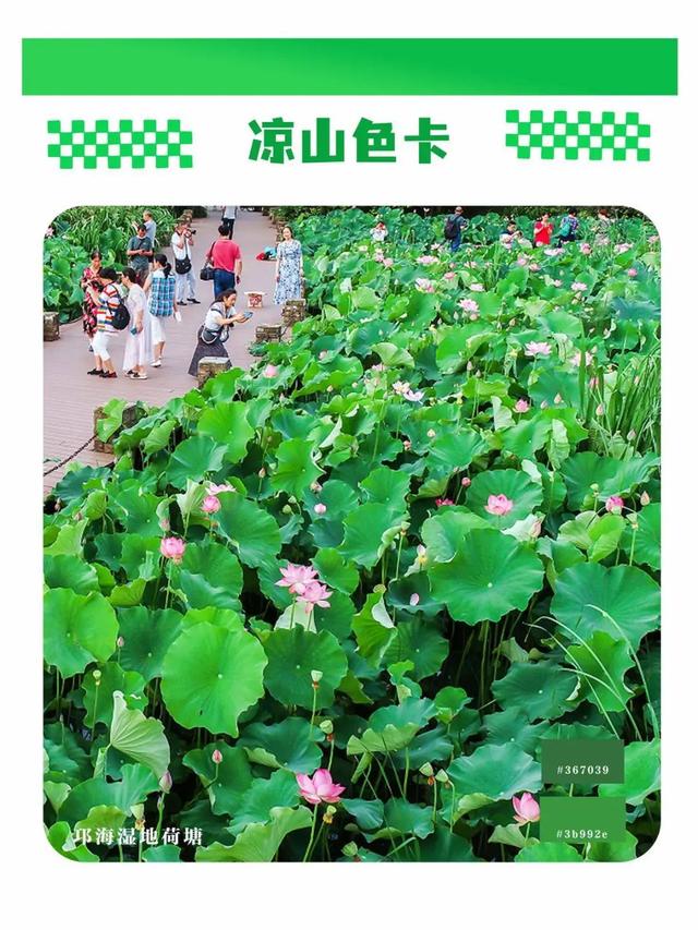 五彩大凉山，有多colourful？请打开这份凉山专属色卡