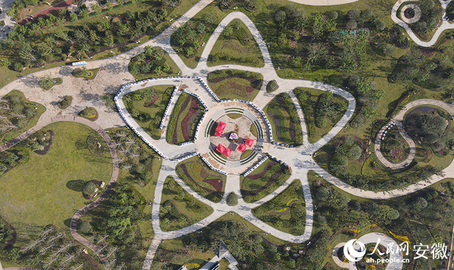 阜阳上扬③丨一马平川地，何以火出圈