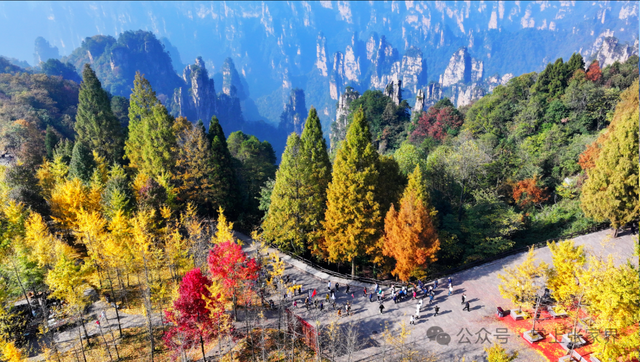 连晴！快出门秋游吧