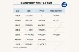 财报横评丨跨国零部件车企半年报出炉：电动化相关业务遭遇挑战，多企业下调全年预期图片