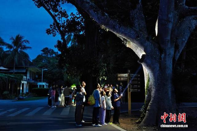 中国科学院西双版纳热带植物园探寻雨林奇妙夜