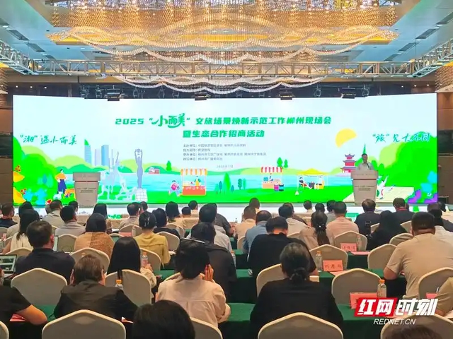 观潮的螃蟹丨临武的石头会“唱歌”