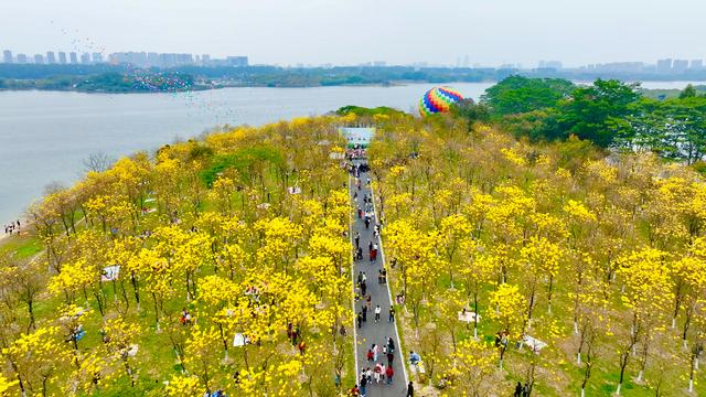 大学生们，松山湖等你！