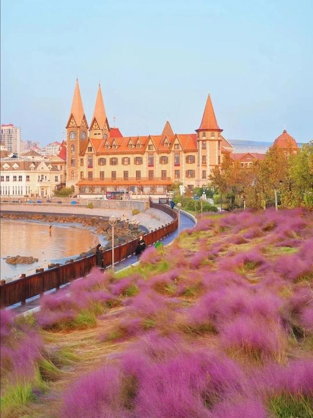 山东秋天的限定「色卡」，你集齐了吗？