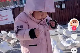 鸽子拿捏人类幼崽，引发一场网友绘画大赛图片