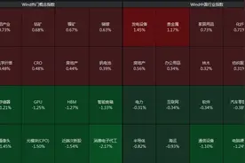 沪指低开0.16%，贵金属板块强势图片