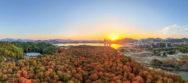 现实版油画！杭州青山湖进入多彩季，一天涌入5万游客