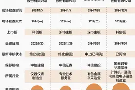 2024最后一批IPO现场检查开启 年内现场检查终止率达50%图片