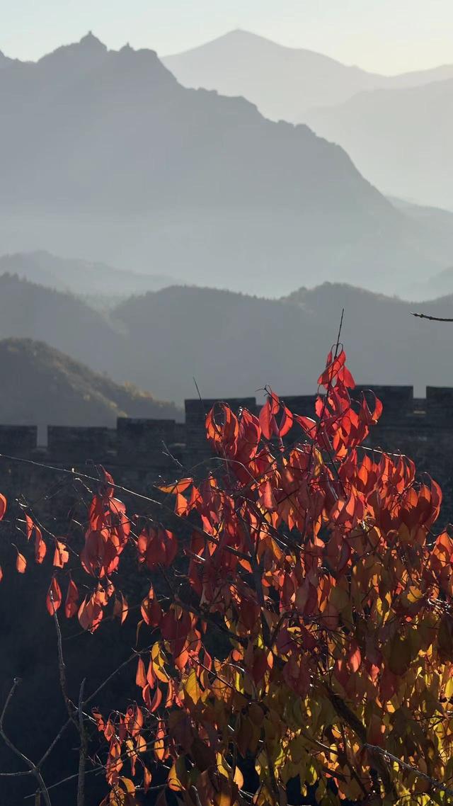 河北滦平：秋染金山岭长城美如画