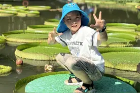 小孩坐王莲！世界上最大的水生植物叶片能当“船”图片