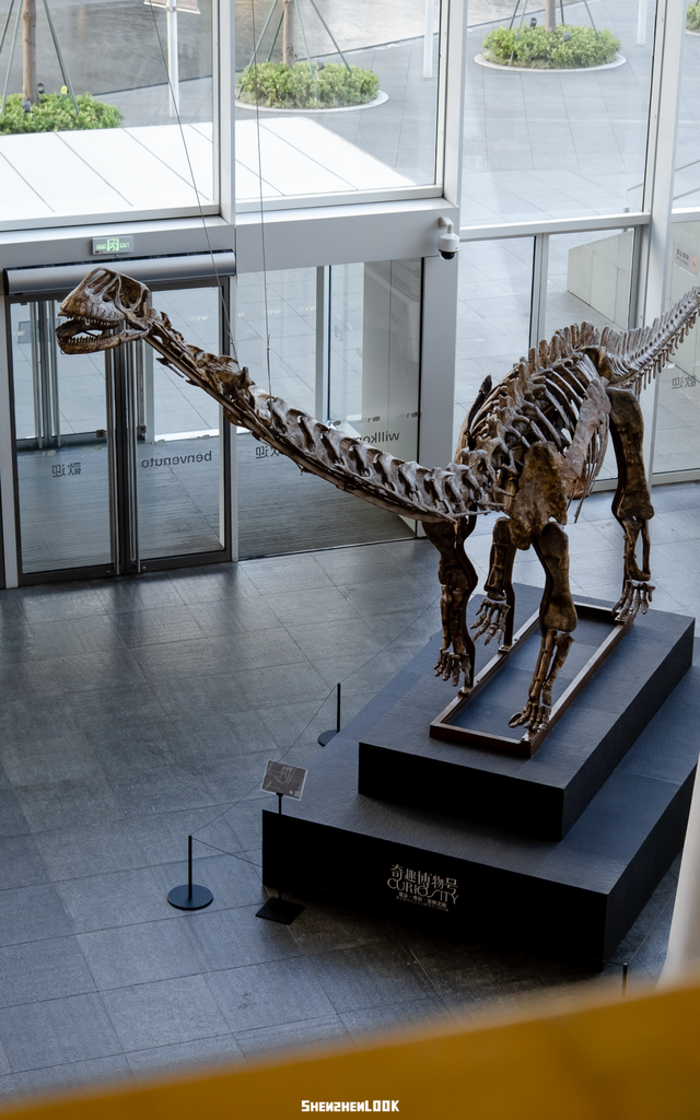 “这可能是深圳最热闹的周末，攻略准备好了”