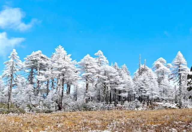 12月，去云南→踏雪而行，向山而去