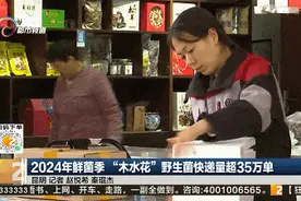 今年云南鲜菌季发货超35万单！最爱买的地区是……图片