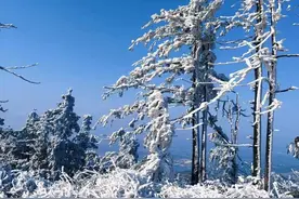 快来看！武汉黄陂几大景区出现雾凇美景图片