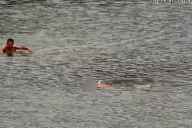 64岁的张大爷，申报见义勇为！图片