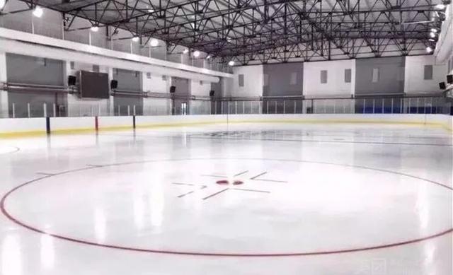 想在闵行过《疯狂动物城》里的生活？雨林区、冰川镇就在你身边→