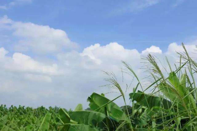 周末追风去！来场南沙City ride吧！