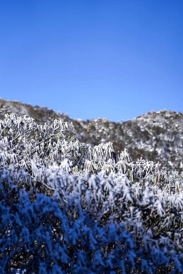 雪落大理苍山，有着道不尽的浪漫