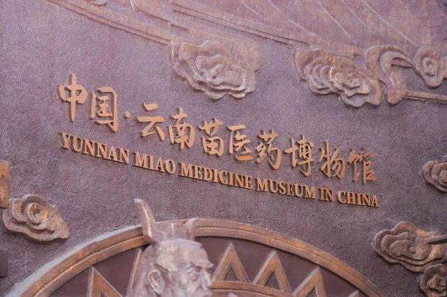 来苗乡屏边，过云端慢生活