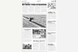 无人机飞防保丰收图片