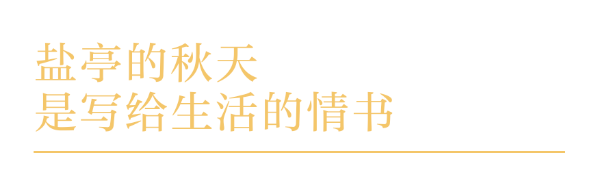 金秋有礼 绵阳有你 ‖ 盐亭秋色来：九月风起时，秋韵如诗