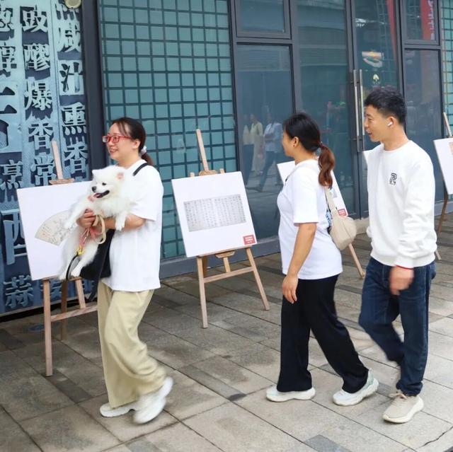 精彩来袭，西充这场演出不“艺”般！