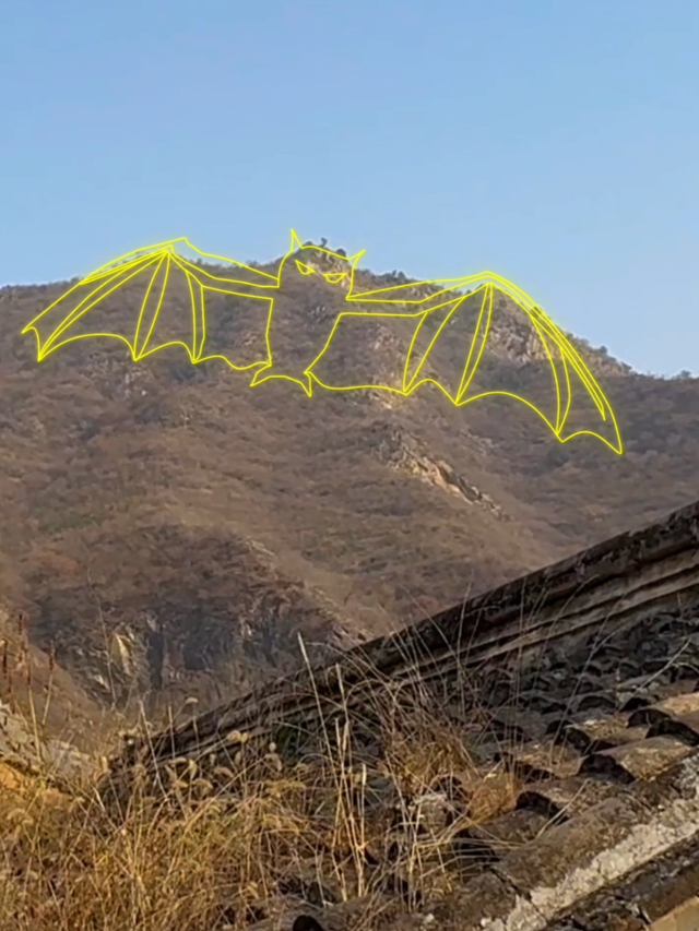 尝鲜儿｜“爨”味体验记：走进500年古村院落