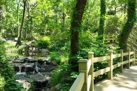 以文塑旅 走进“东海第一胜境”——连云港花果山图片