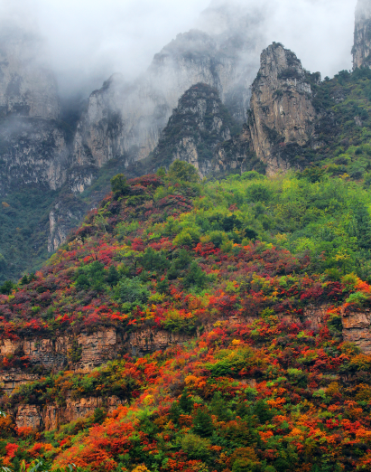 豫见两山 绿色答卷丨生态之旅——打卡“红旗渠的故乡”林州