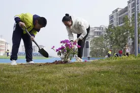 重庆：师生、家长“认种认养”花木，携手扮靓校园图片
