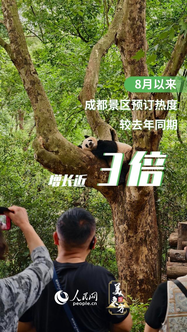 “巴适得很” 跟着成都世运会游巴蜀