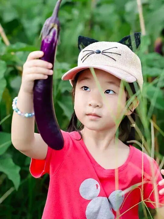 平时不出门，但如果是翔安的果蔬熟了，那我得跑着去！