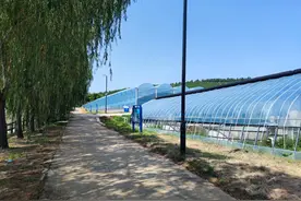 山里游出致富鱼图片