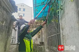 荒废小院变身清新空间，构建宜居生活环境图片