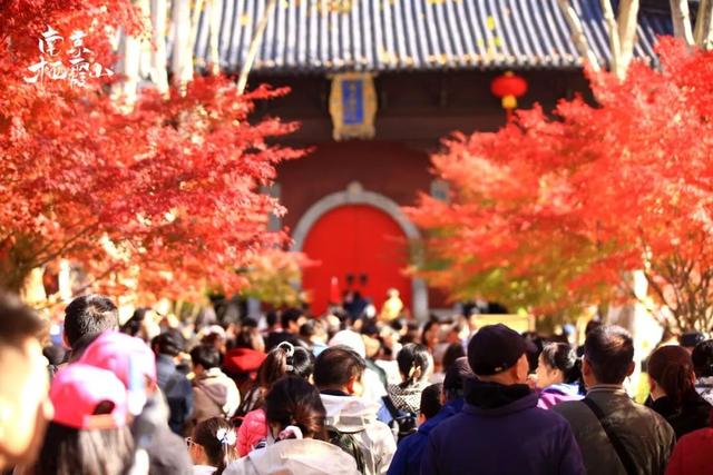 6号线！赶紧和栖霞山“奔现”吧！！