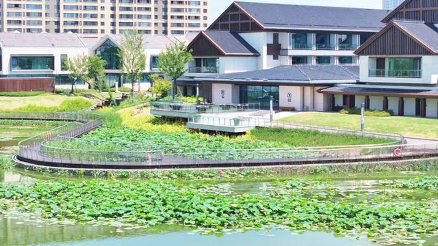来宿城，打卡我“荷”你的浪漫