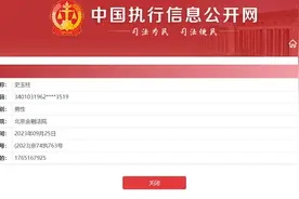 涉及17.65亿元！史玉柱，又被执行！图片
