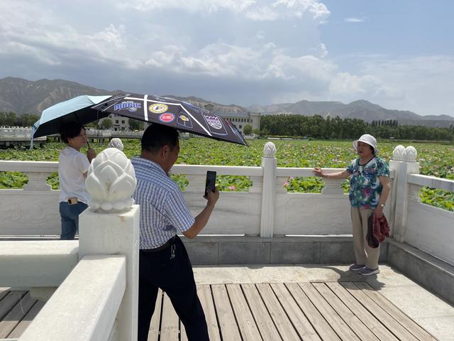甘肃白银：昔日黄河排污口 如今荷香迎客来