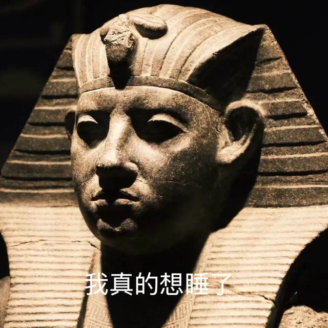 上海高精力牛马半夜3点排队进博物馆约会？法老都得加班的上博埃及展一年赚了7个亿