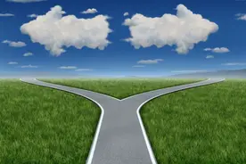 退市警报拉响，老牌零售商华联股份连续出手：收购DT51“背水一战”图片