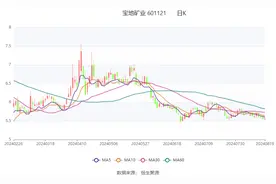 宝地矿业：2024年上半年净利润同比增长53.24% 拟10派0.5元图片