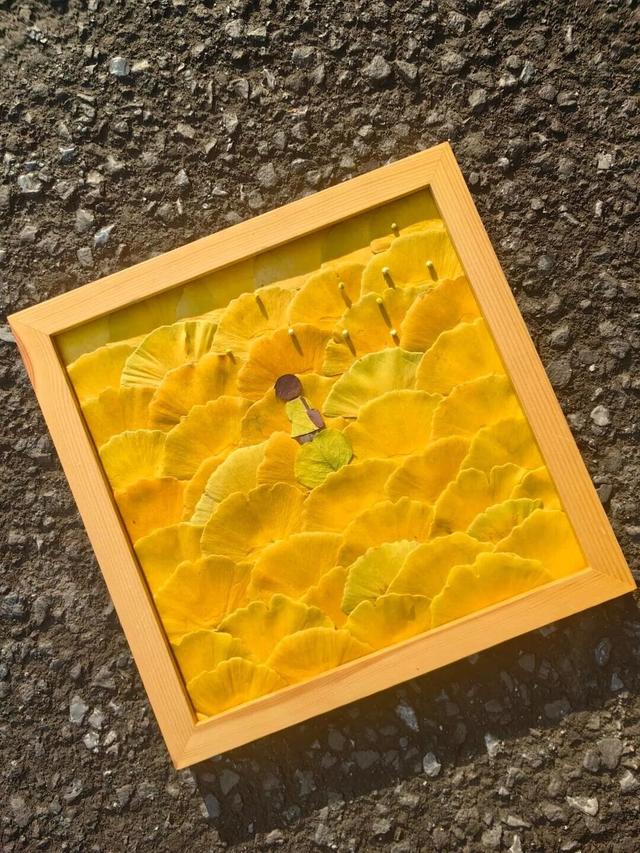 秋日限定“双骄”：从赏到玩转的完整攻略！