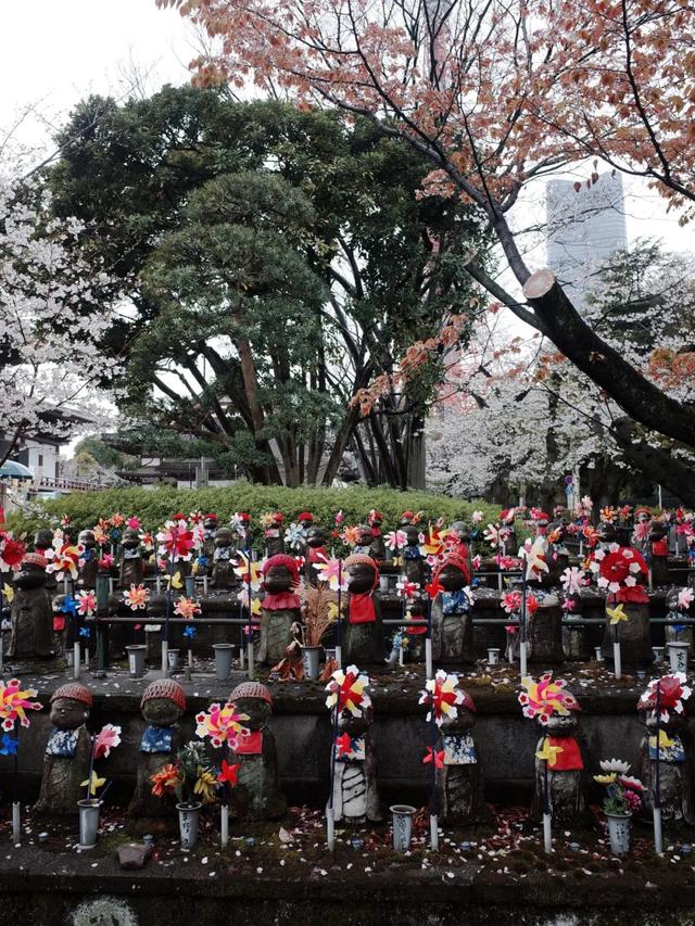 清明逛逛「鬼地方」：墓地散步指南
