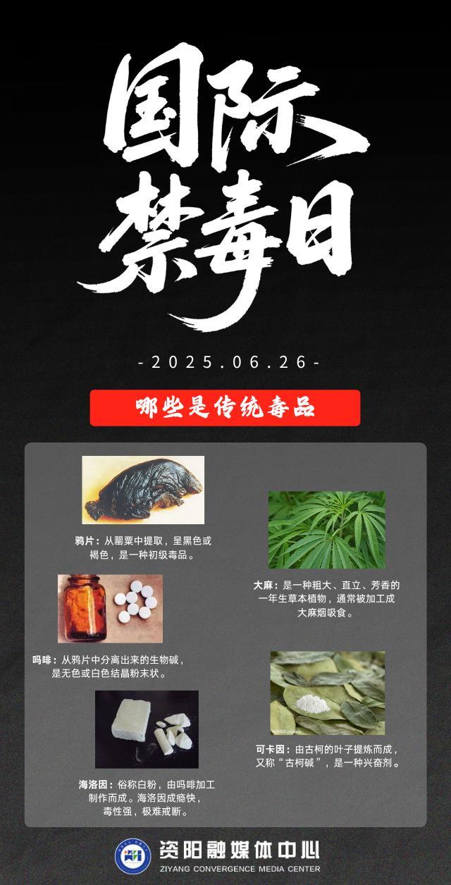 国际禁毒日｜关于禁毒知识，你了解多少？