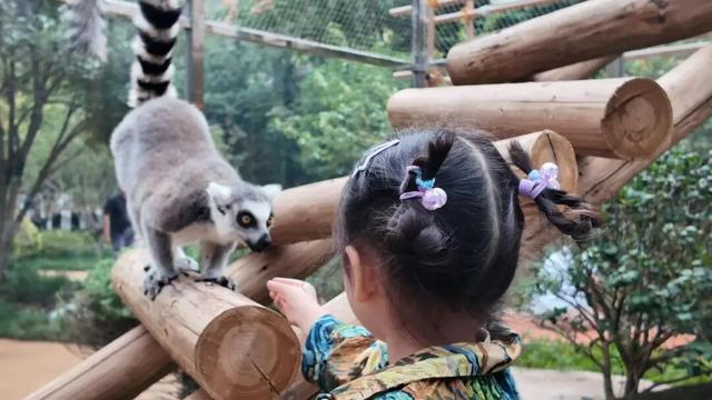 江宁“疯狂动物城”
